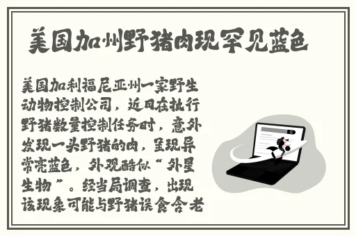 小草观看免费高清视频